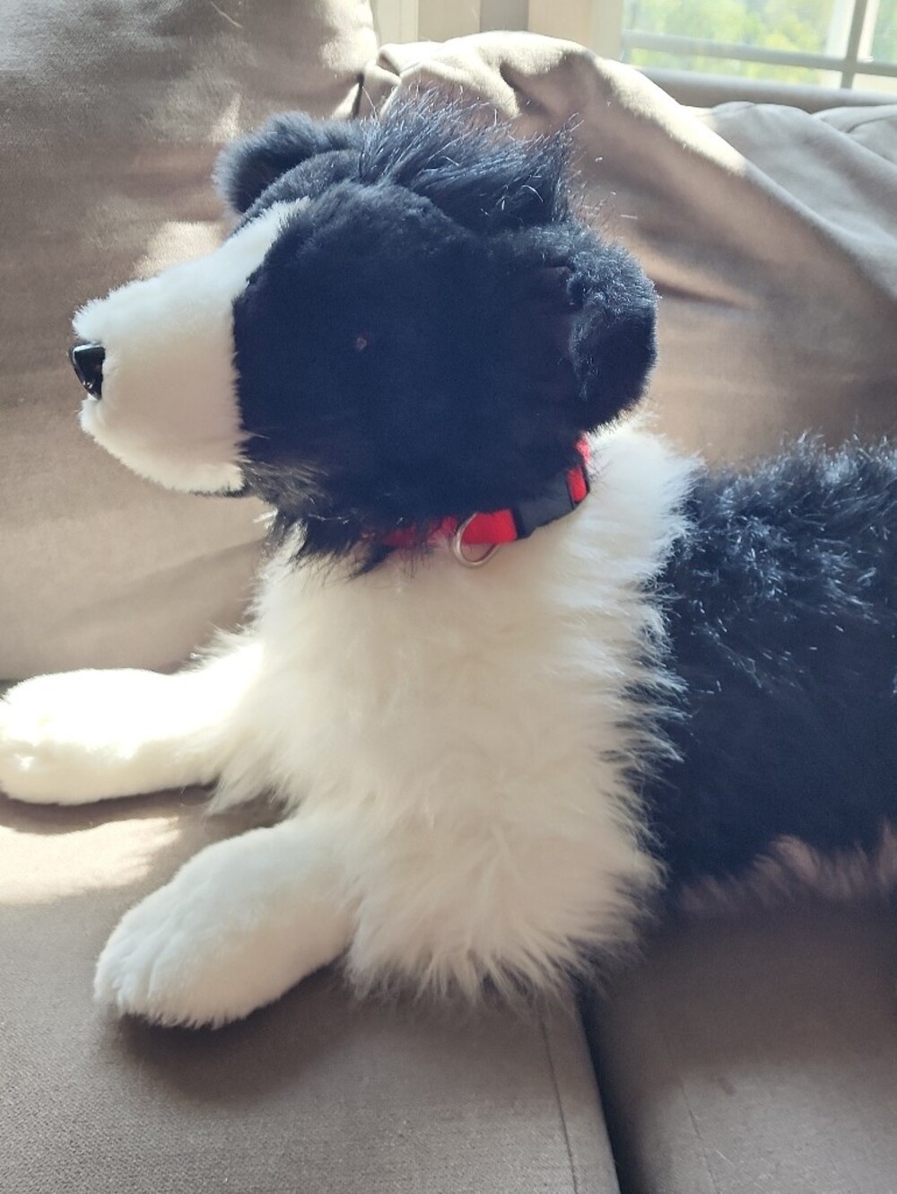 Ditz Designs Hen House Plush Dog Border Collie 31" Realistic Life Size Puppy